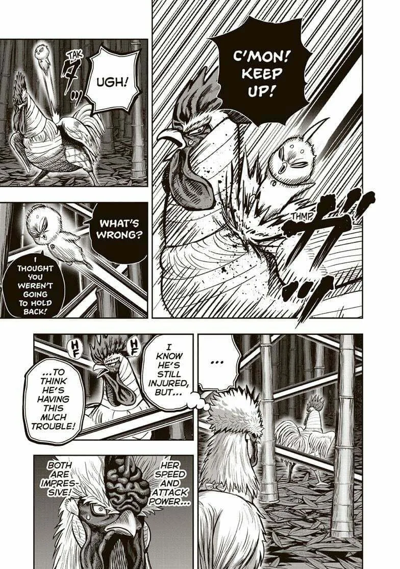 Rooster Fighter Chapter 33 page 11 - 