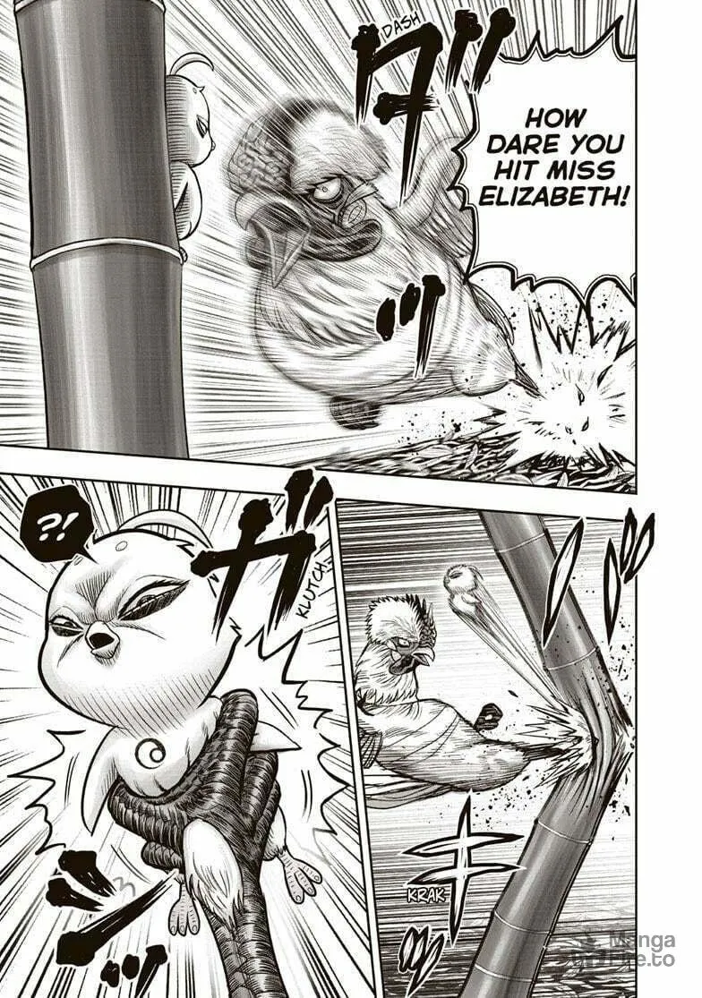 Rooster Fighter Chapter 33 page 15 - 