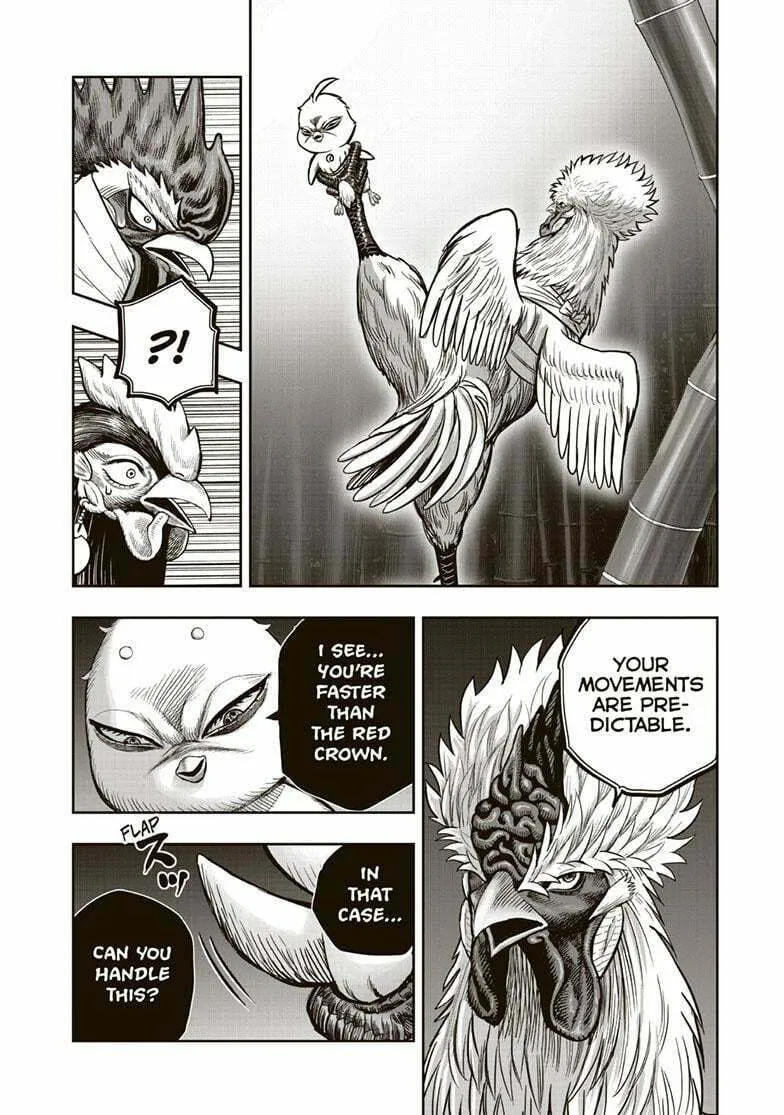 Rooster Fighter Chapter 33 page 16 - 
