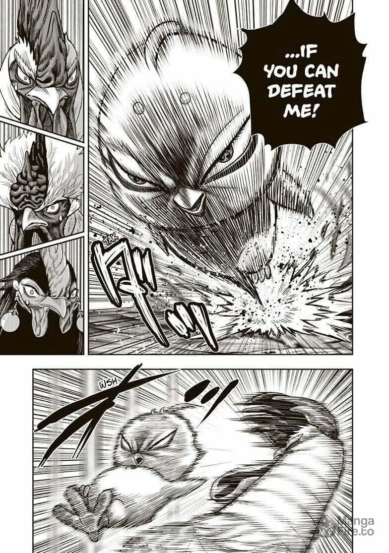 Rooster Fighter Chapter 33 page 5 - 