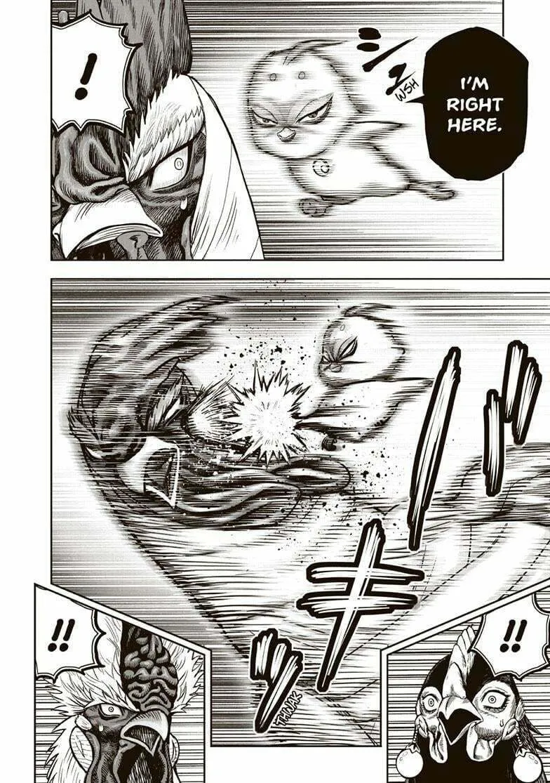Rooster Fighter Chapter 33 page 8 - 
