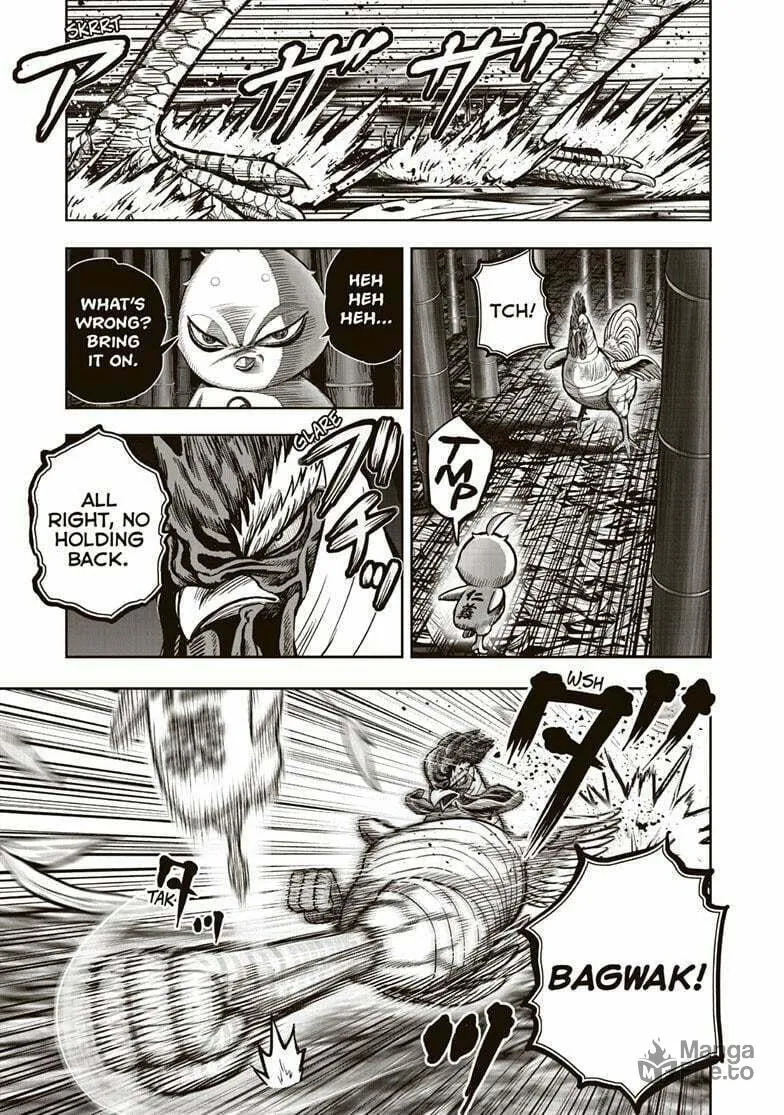Rooster Fighter Chapter 33 page 9 - 