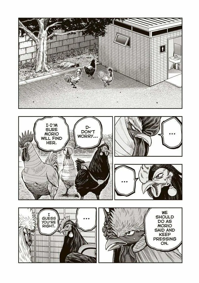 Rooster Fighter Chapter 34 page 13 - 