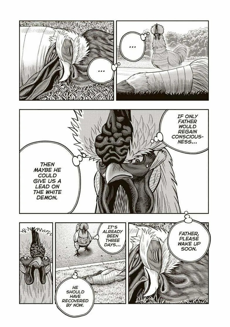 Rooster Fighter Chapter 34 page 14 - 