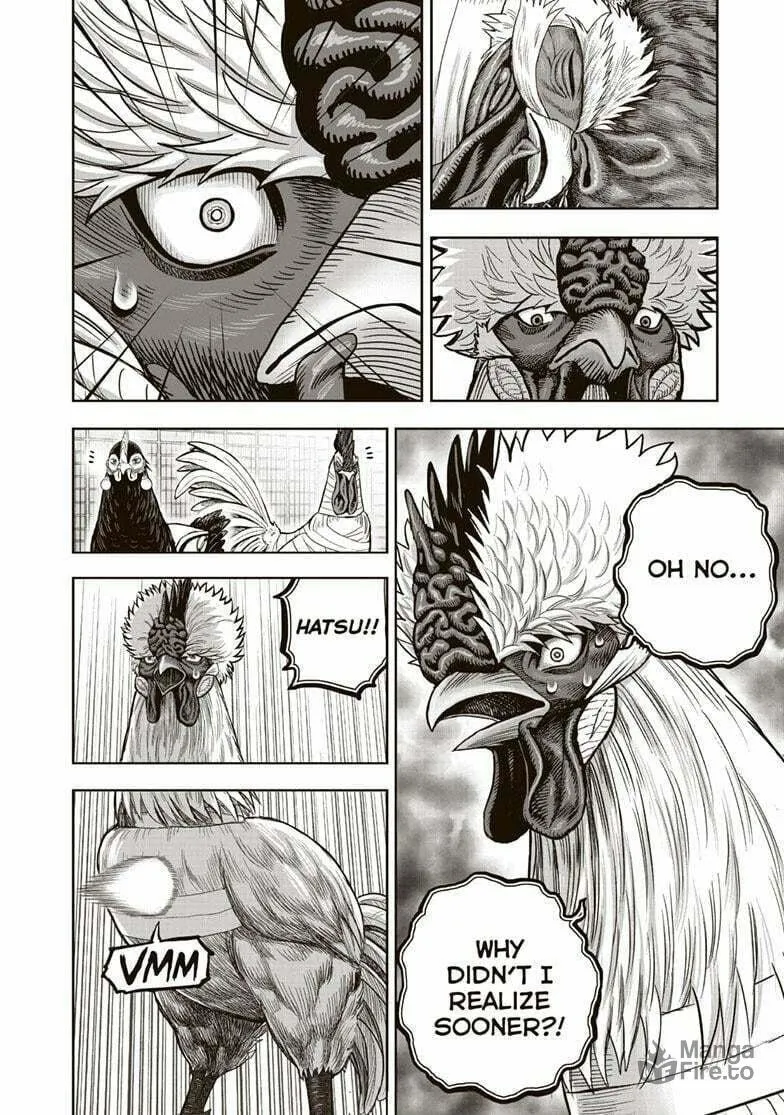 Rooster Fighter Chapter 34 page 15 - 