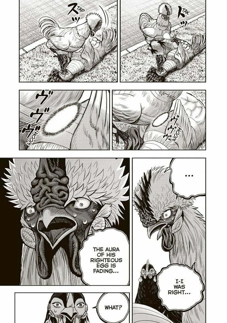 Rooster Fighter Chapter 34 page 16 - 