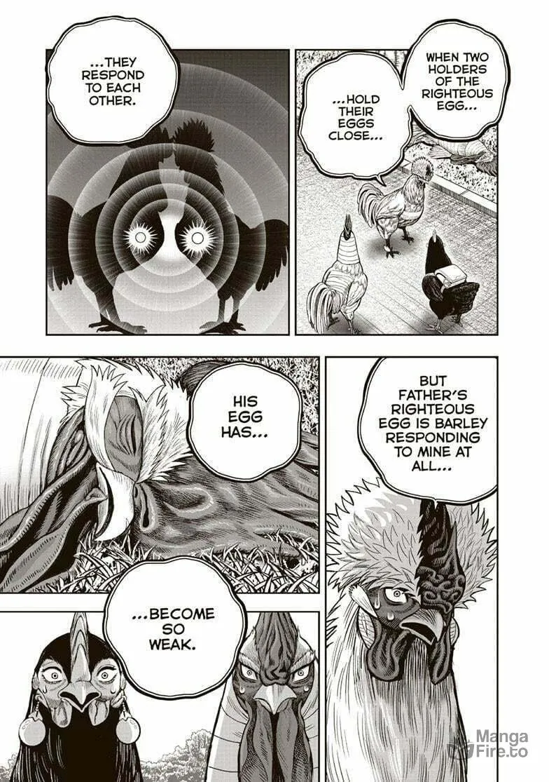 Rooster Fighter Chapter 34 page 18 - 