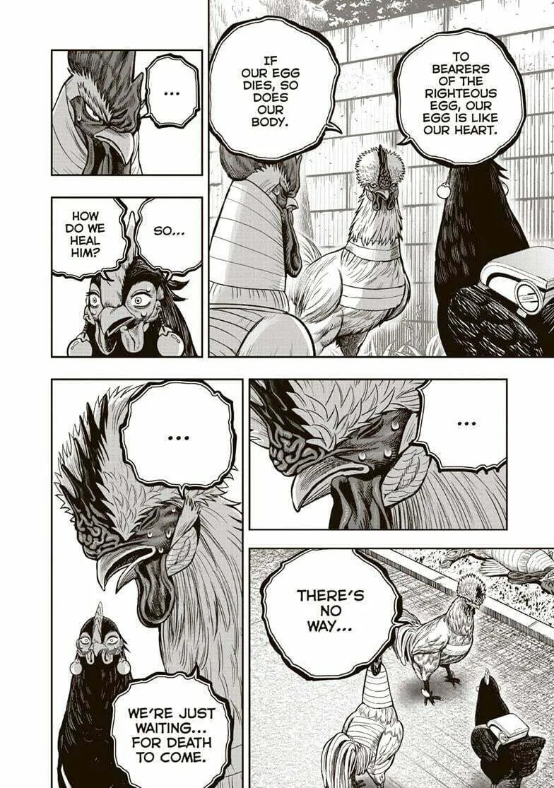 Rooster Fighter Chapter 34 page 19 - 