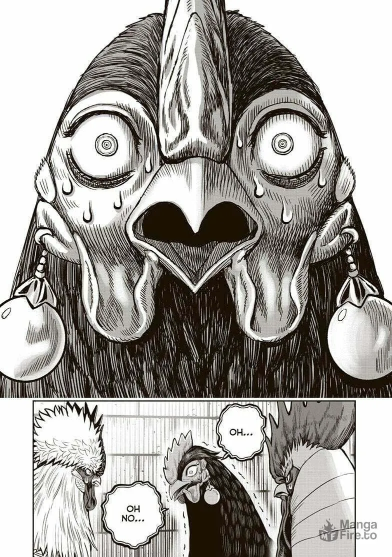 Rooster Fighter Chapter 34 page 20 - 