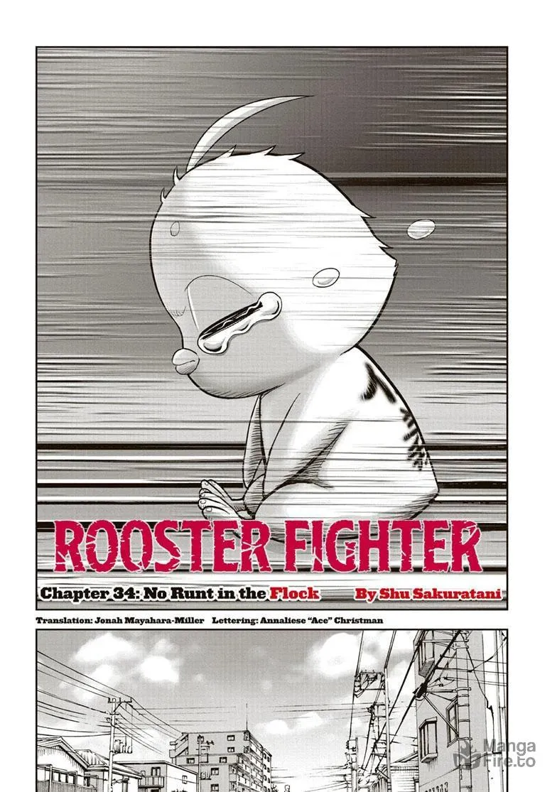 Rooster Fighter Chapter 34 page 3 - 
