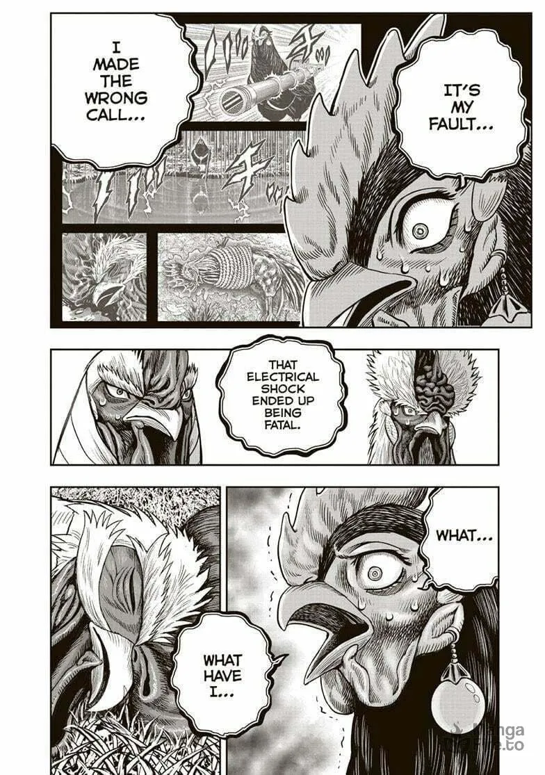 Rooster Fighter Chapter 34 page 21 - 