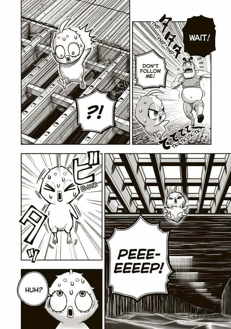 Rooster Fighter Chapter 34 page 27 - 