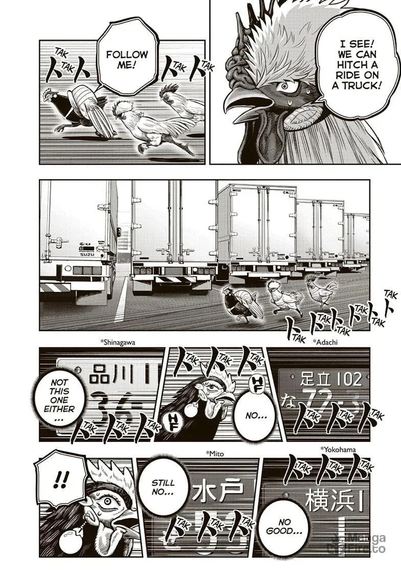 Rooster Fighter Chapter 35 page 15 - 
