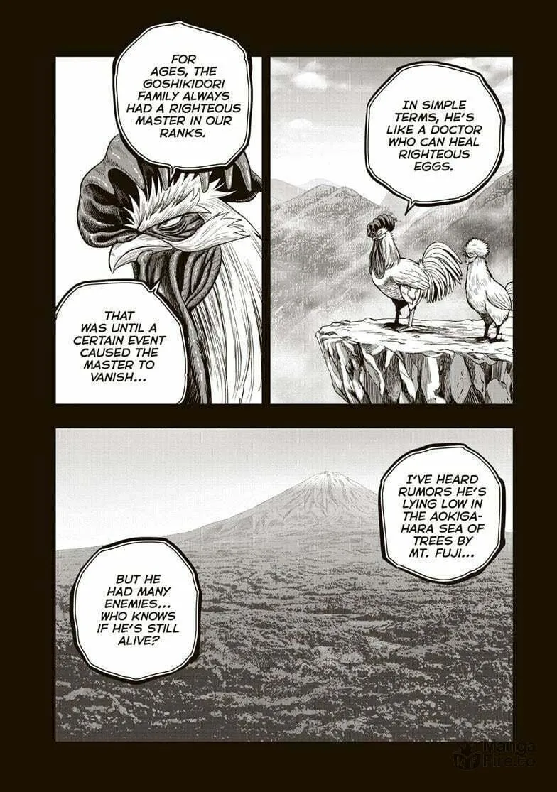 Rooster Fighter Chapter 35 page 3 - 