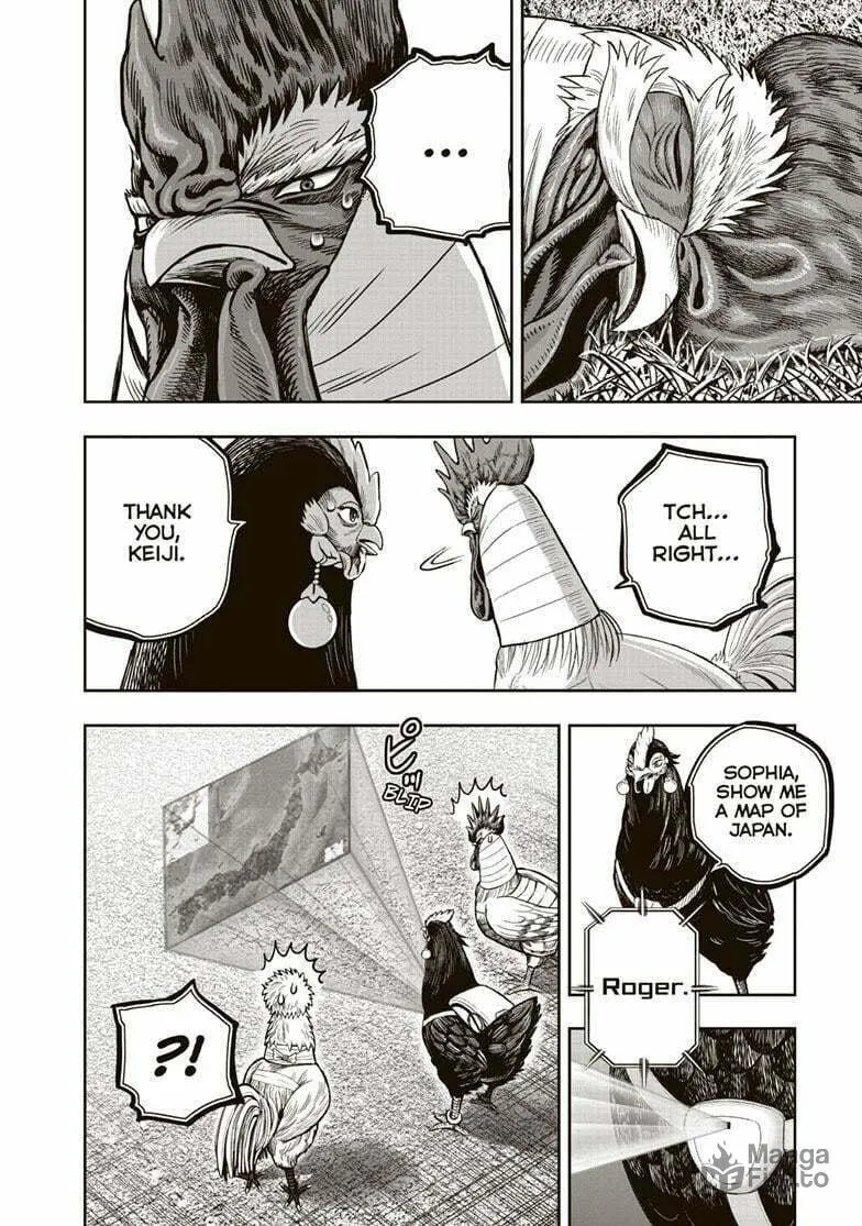 Rooster Fighter Chapter 35 page 5 - 