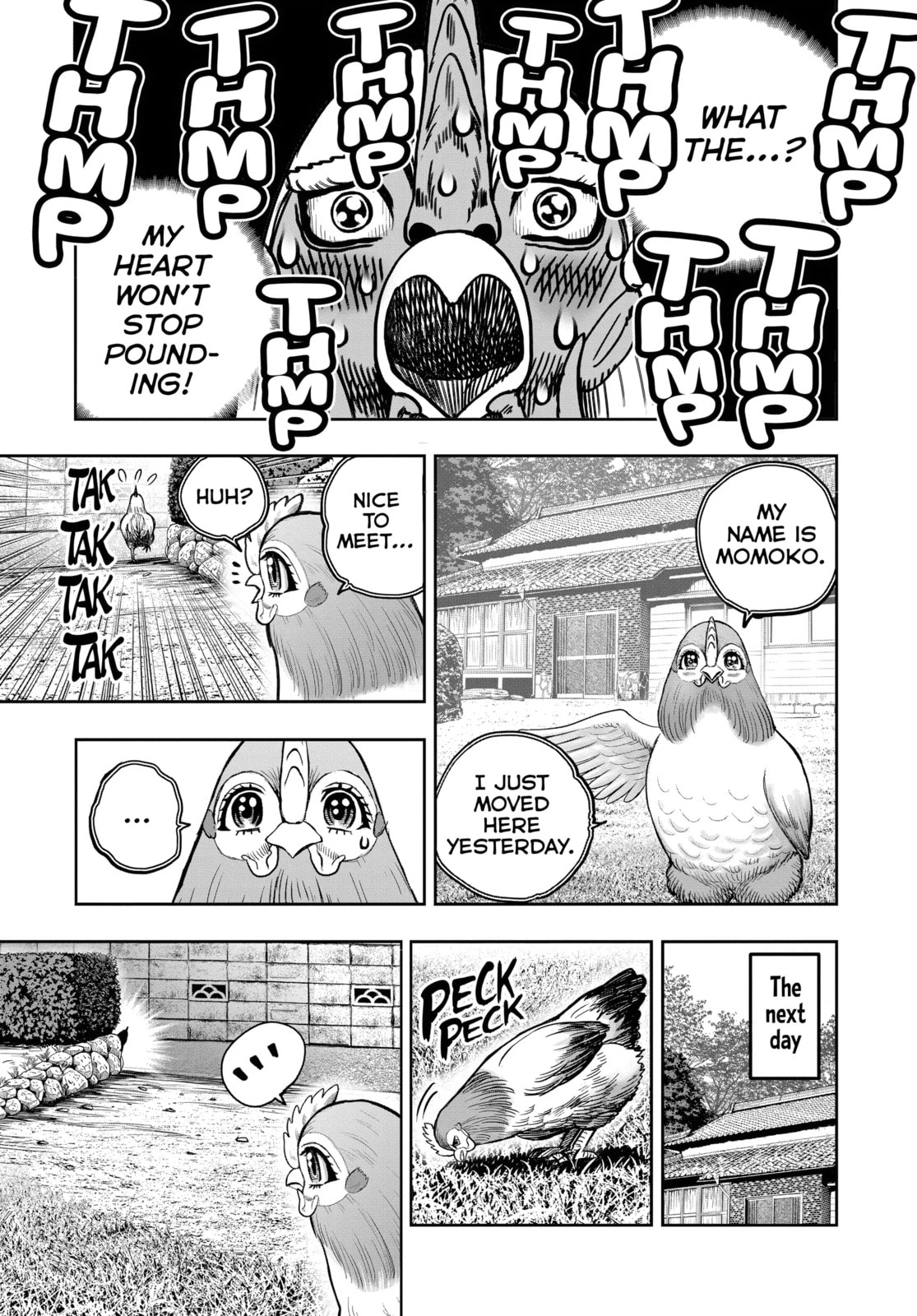 Rooster Fighter Chapter 36.1 page 5 - 