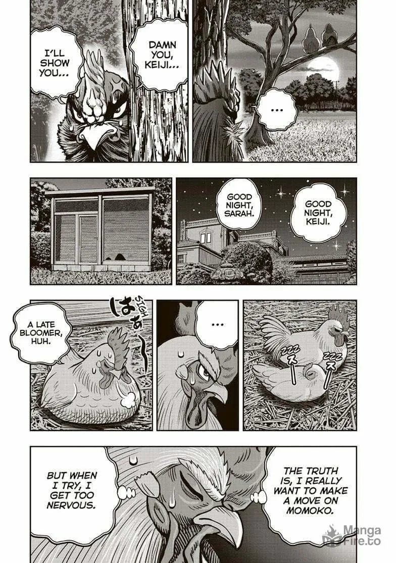Rooster Fighter Chapter 36.5 page 12 - 