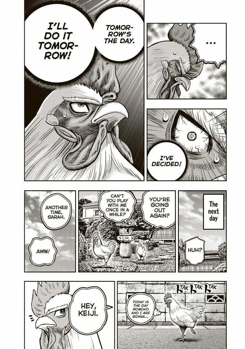 Rooster Fighter Chapter 36.5 page 13 - 