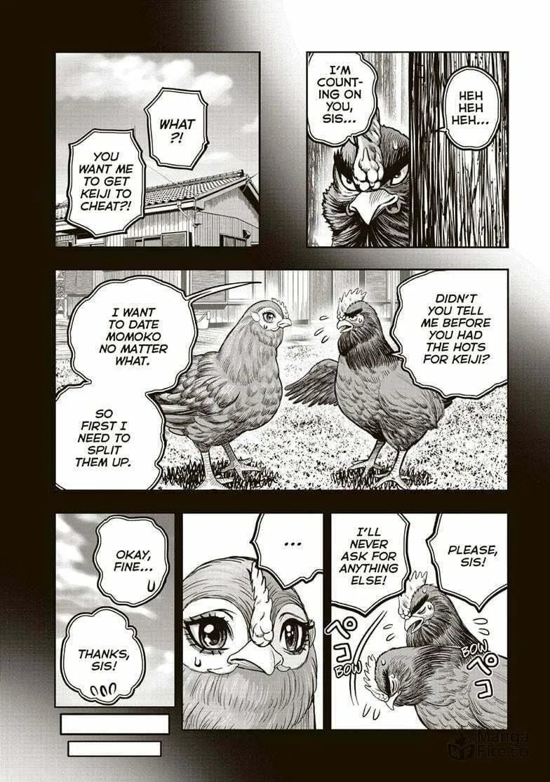 Rooster Fighter Chapter 36.5 page 15 - 