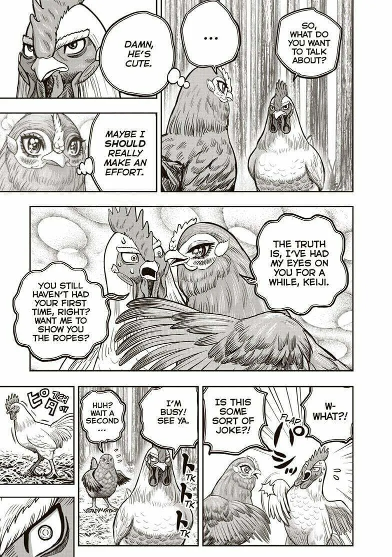 Rooster Fighter Chapter 36.5 page 16 - 