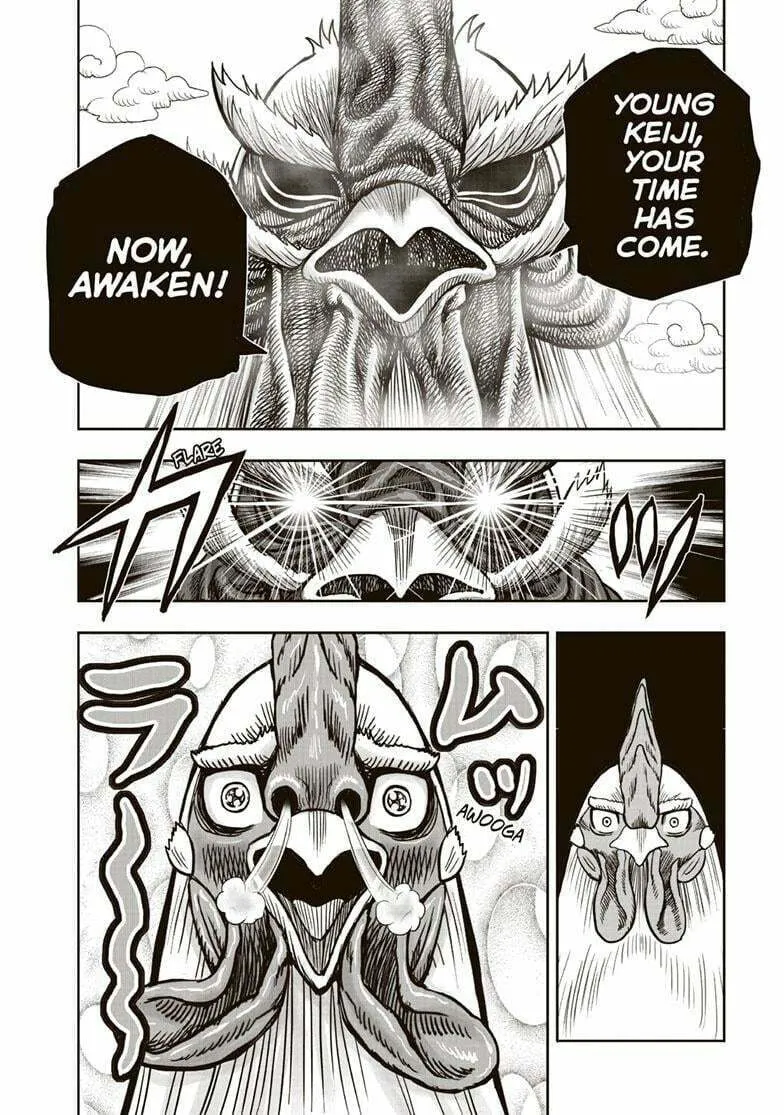 Rooster Fighter Chapter 36.5 page 19 - 