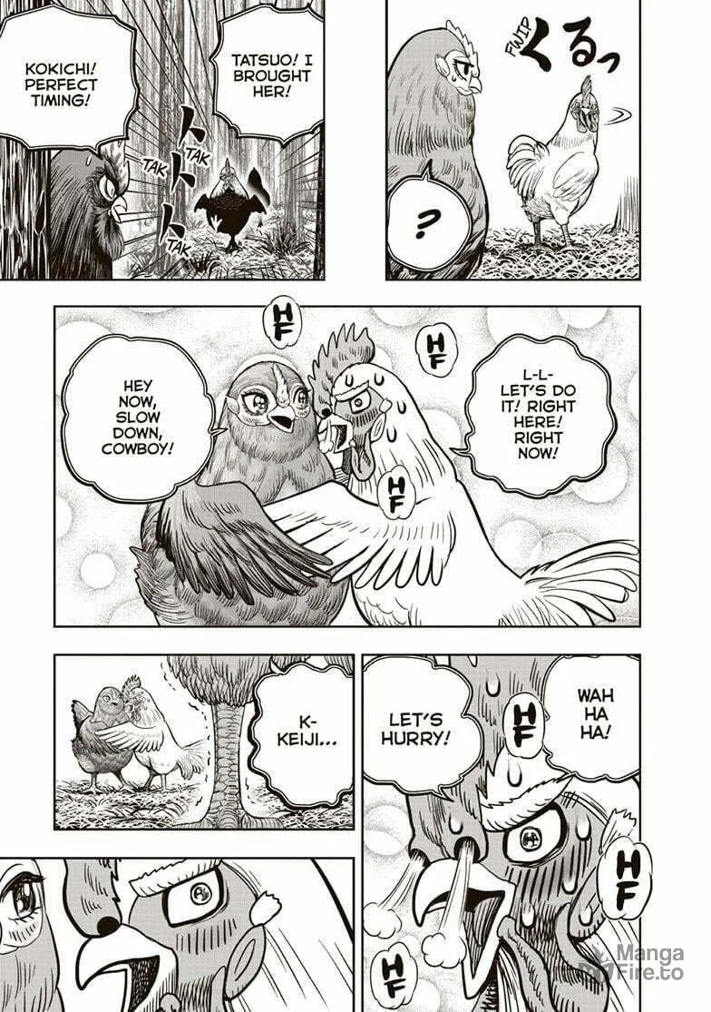 Rooster Fighter Chapter 36.5 page 20 - 
