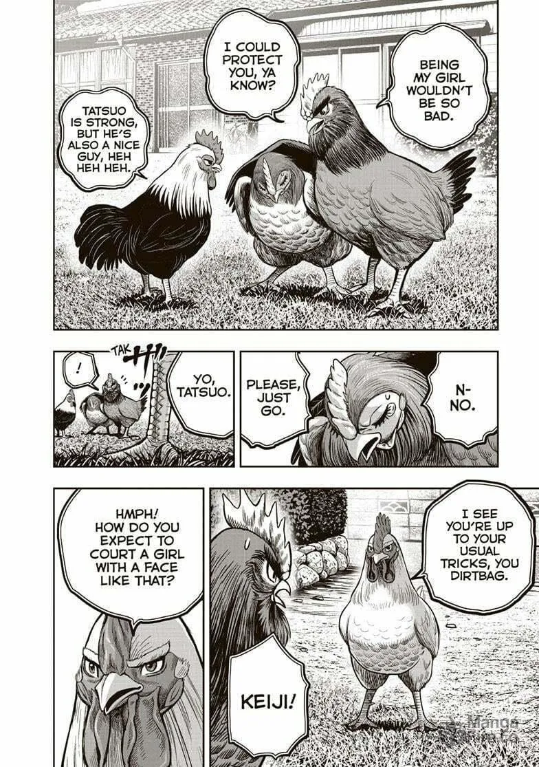 Rooster Fighter Chapter 36.5 page 3 - 