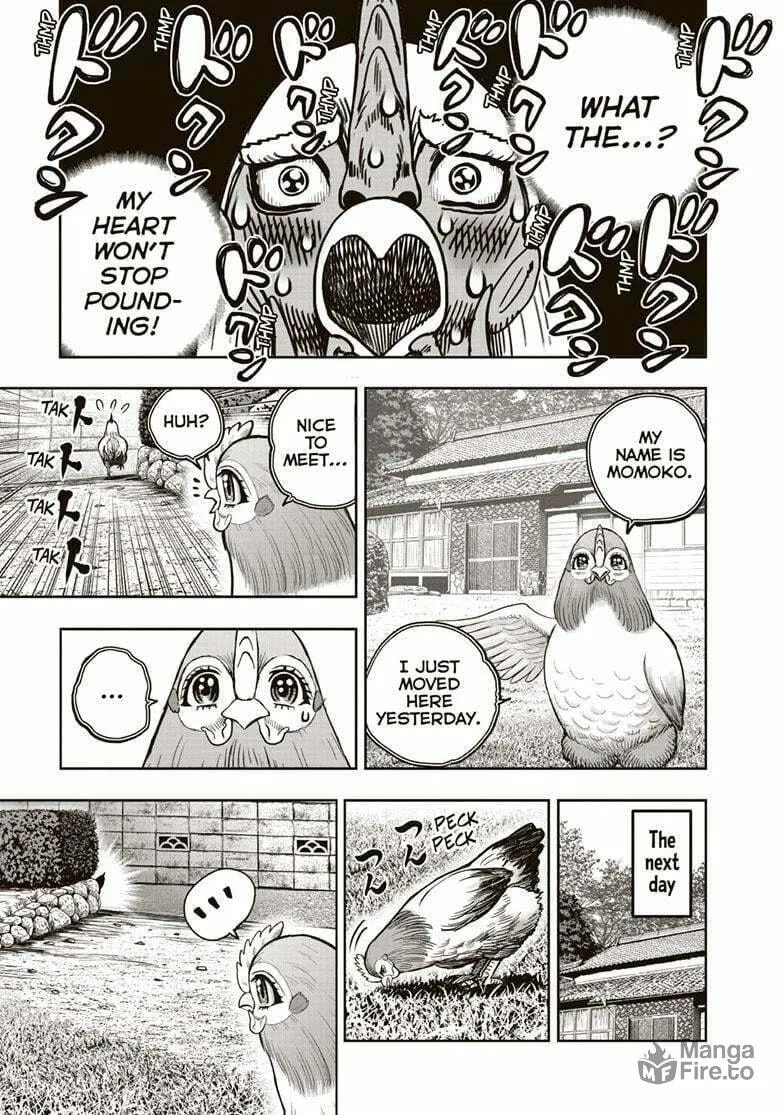 Rooster Fighter Chapter 36.5 page 6 - 