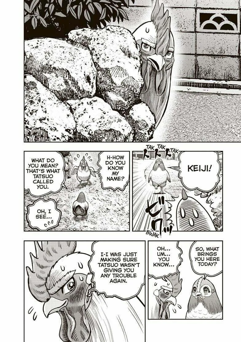 Rooster Fighter Chapter 36.5 page 7 - 