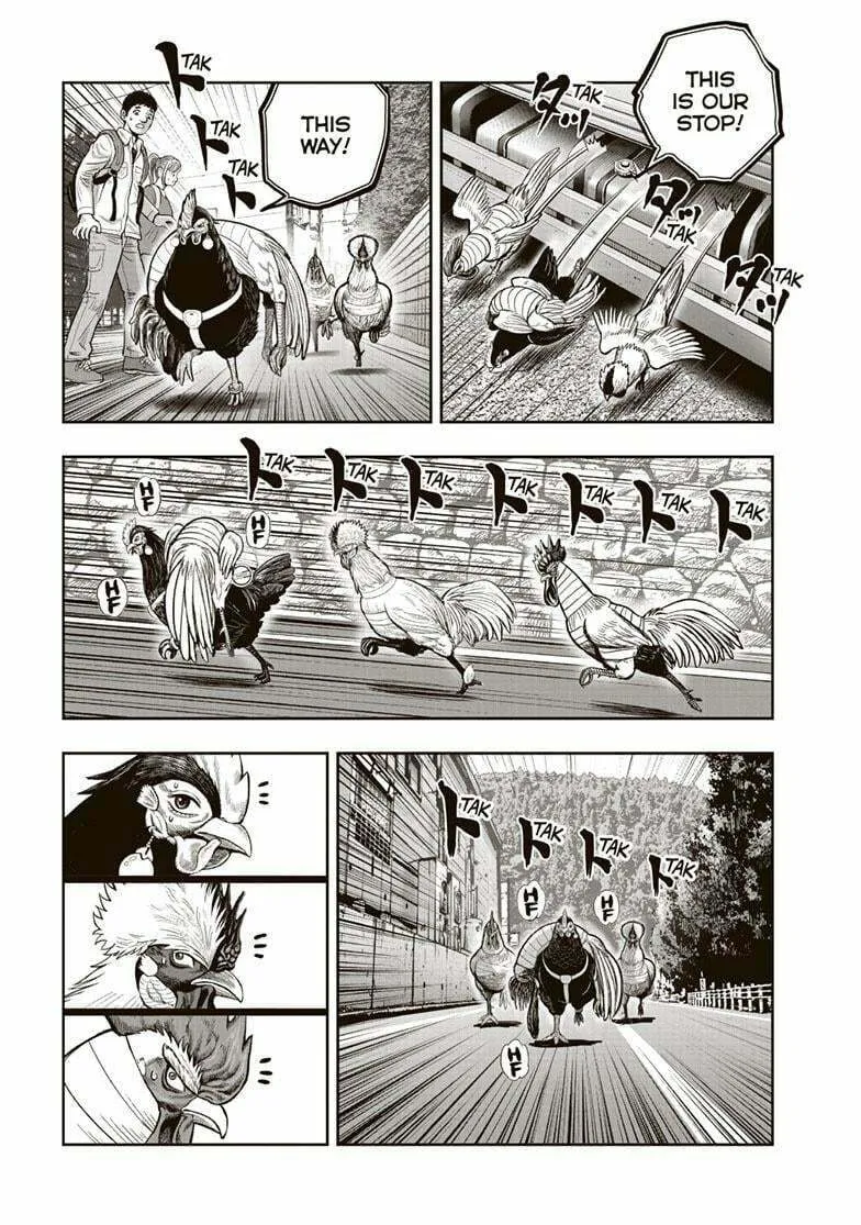 Rooster Fighter Chapter 36 page 16 - 