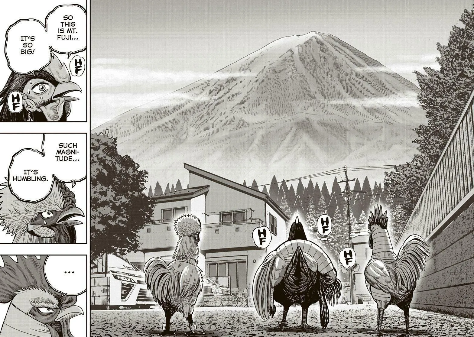 Rooster Fighter Chapter 36 page 17 - 