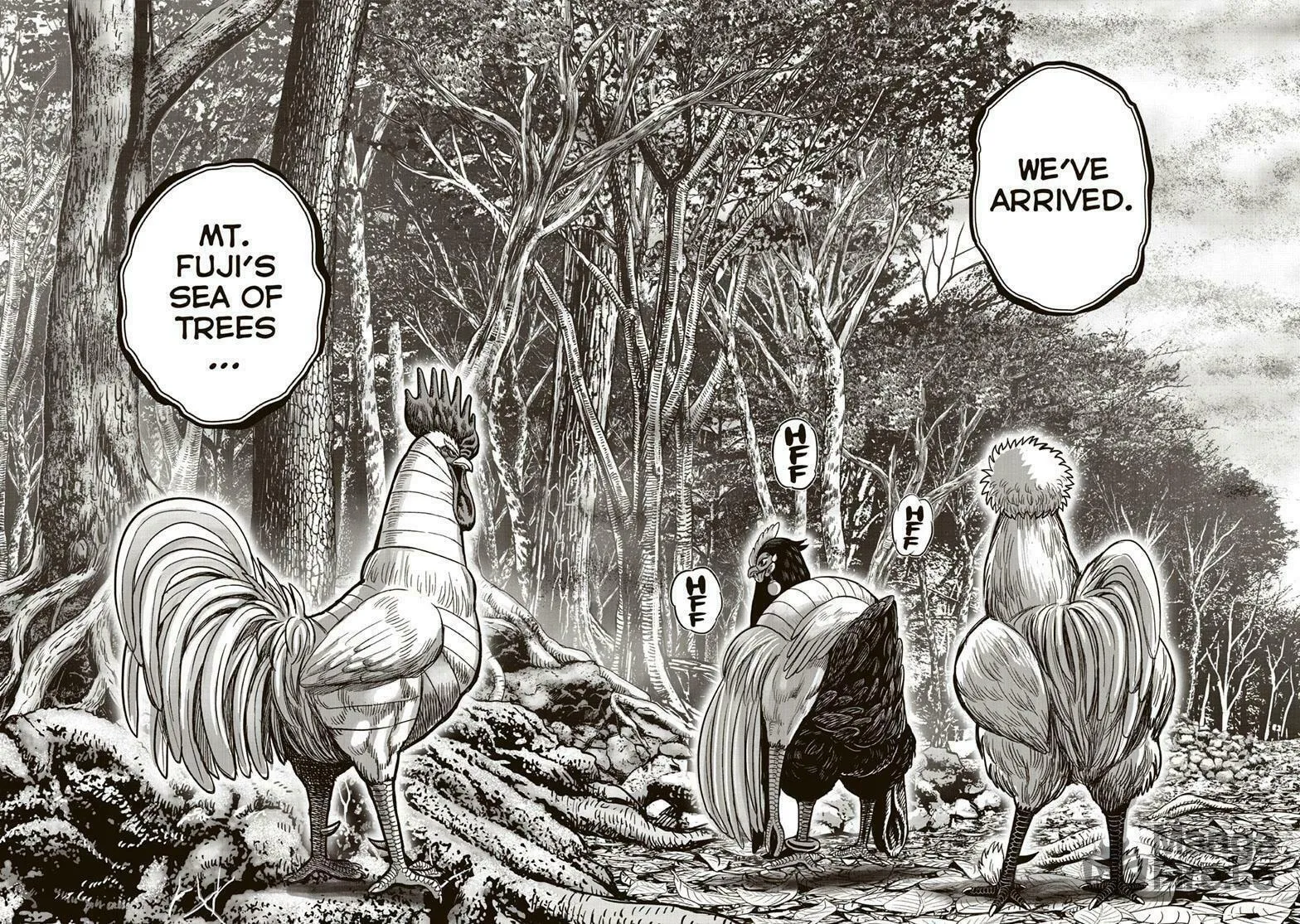 Rooster Fighter Chapter 36 page 24 - 