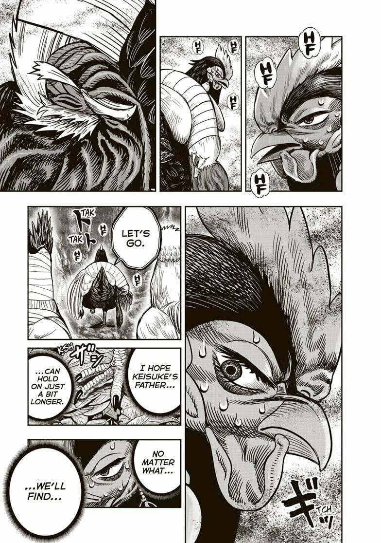 Rooster Fighter Chapter 36 page 26 - 