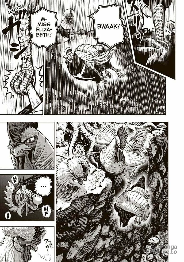 Rooster Fighter Chapter 37 page 12 - 