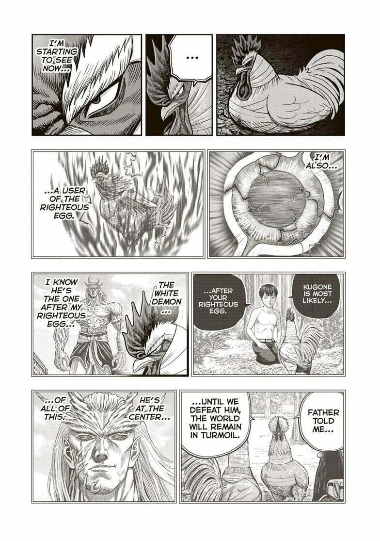 Rooster Fighter Chapter 37 page 14 - 