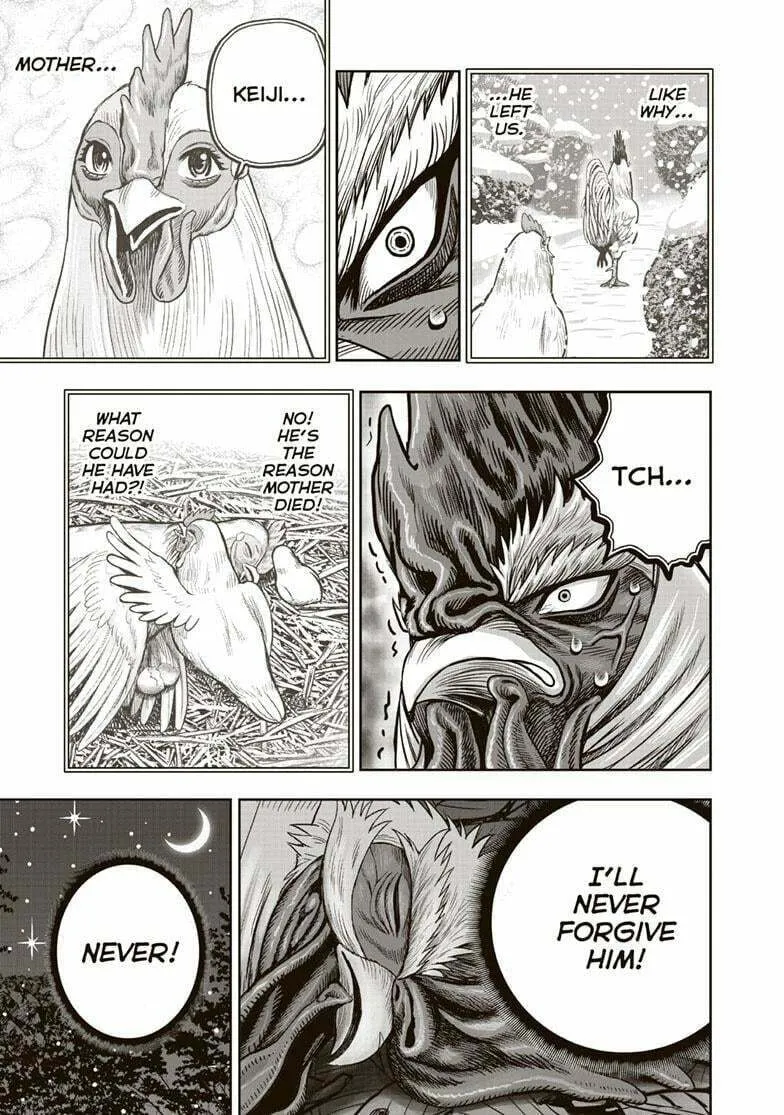 Rooster Fighter Chapter 37 page 16 - 