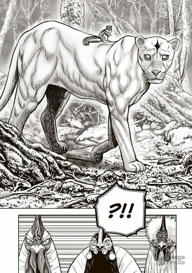 Rooster Fighter Chapter 37 page 21 - 