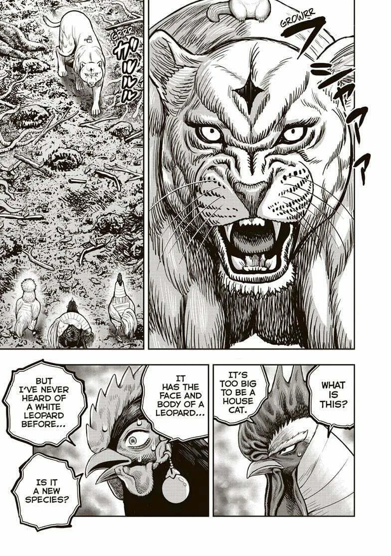 Rooster Fighter Chapter 37 page 22 - 