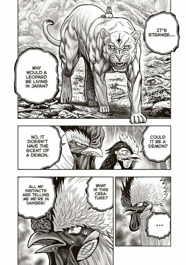 Rooster Fighter Chapter 37 page 23 - 