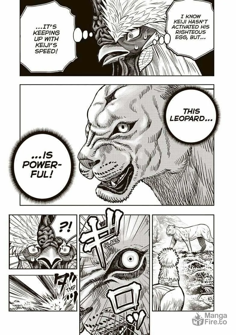 Rooster Fighter Chapter 37 page 30 - 