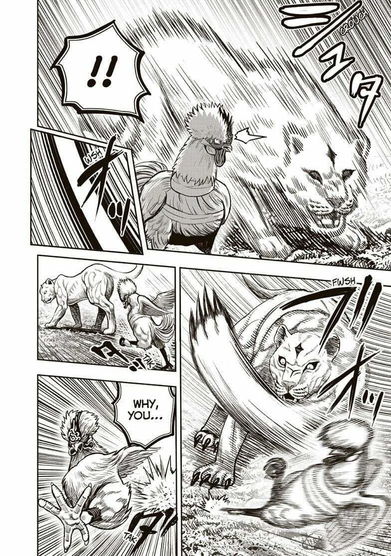 Rooster Fighter Chapter 37 page 31 - 