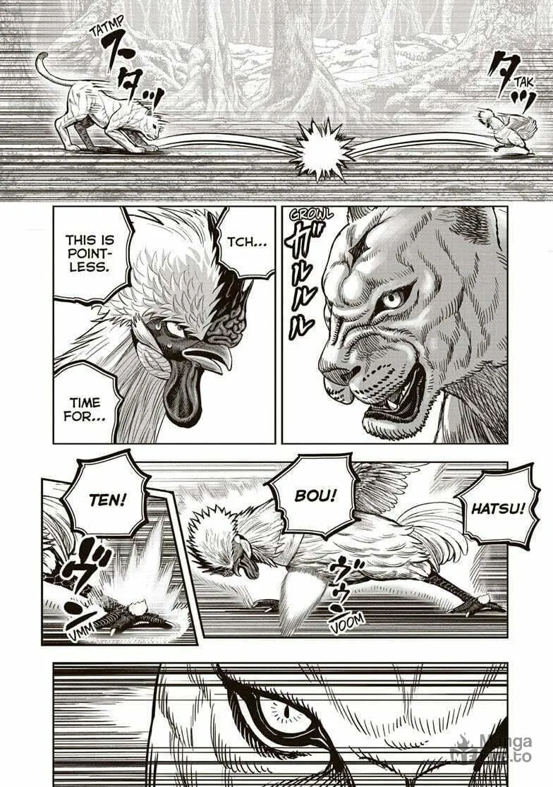 Rooster Fighter Chapter 37 page 33 - 