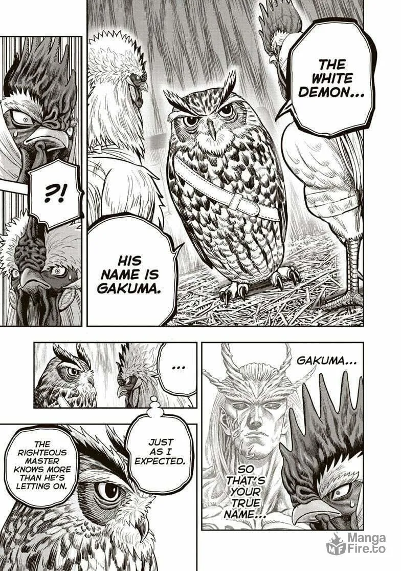 Rooster Fighter Chapter 38 page 18 - 