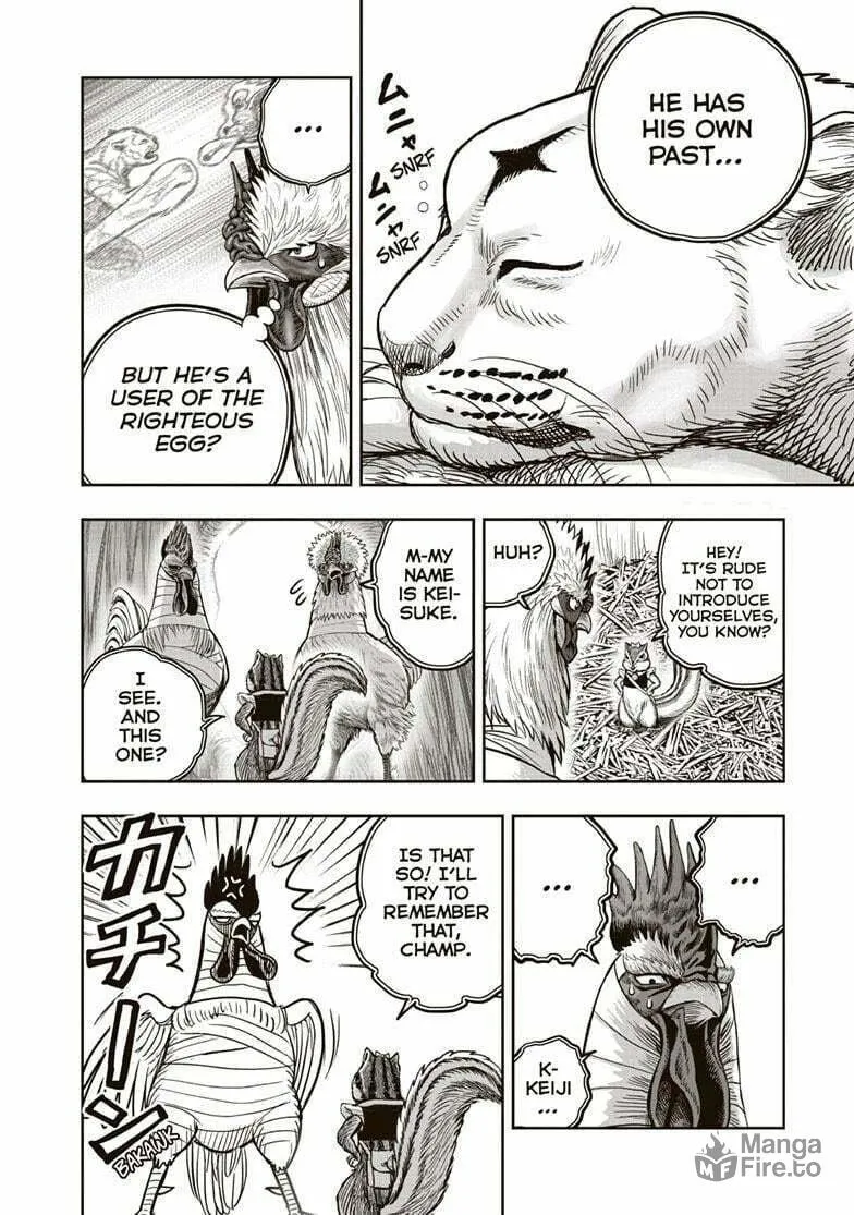Rooster Fighter Chapter 38 page 21 - 