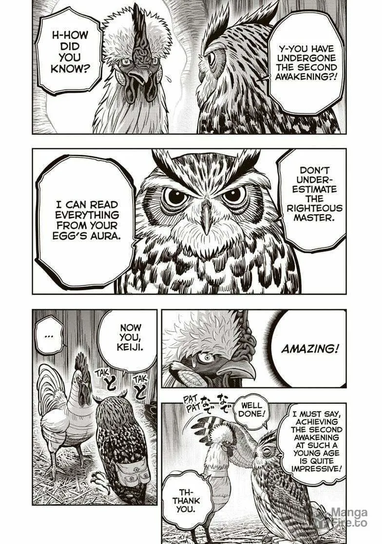 Rooster Fighter Chapter 38 page 24 - 