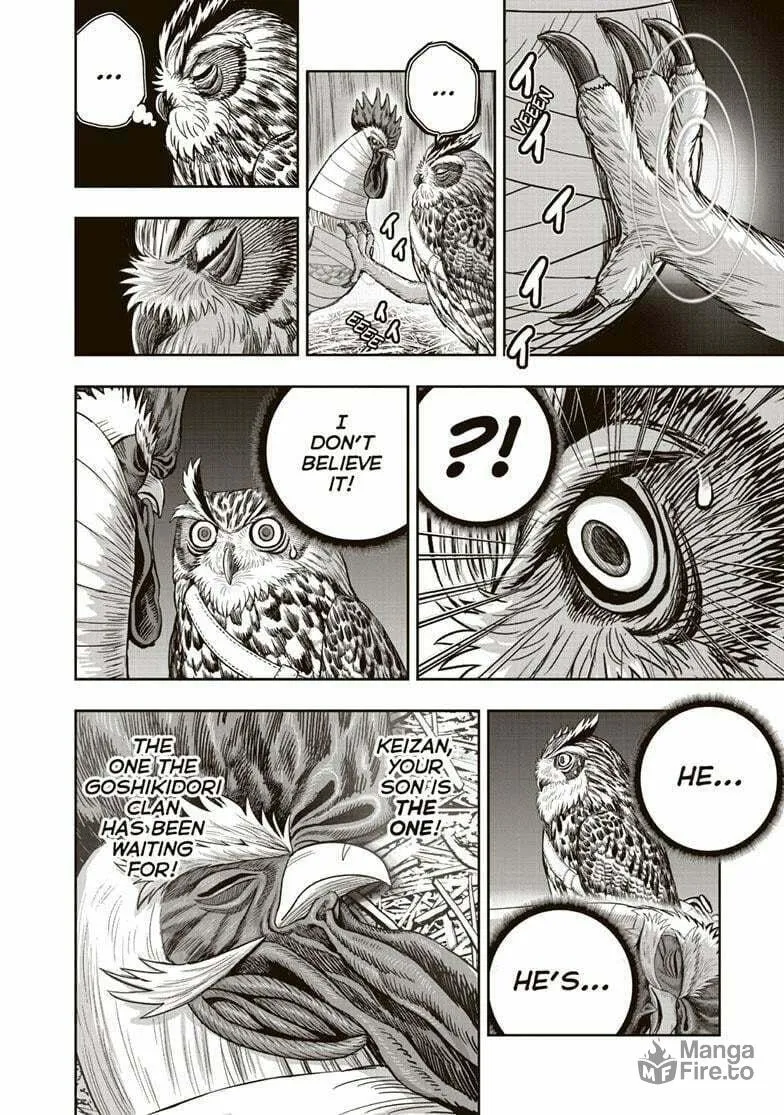 Rooster Fighter Chapter 38 page 25 - 