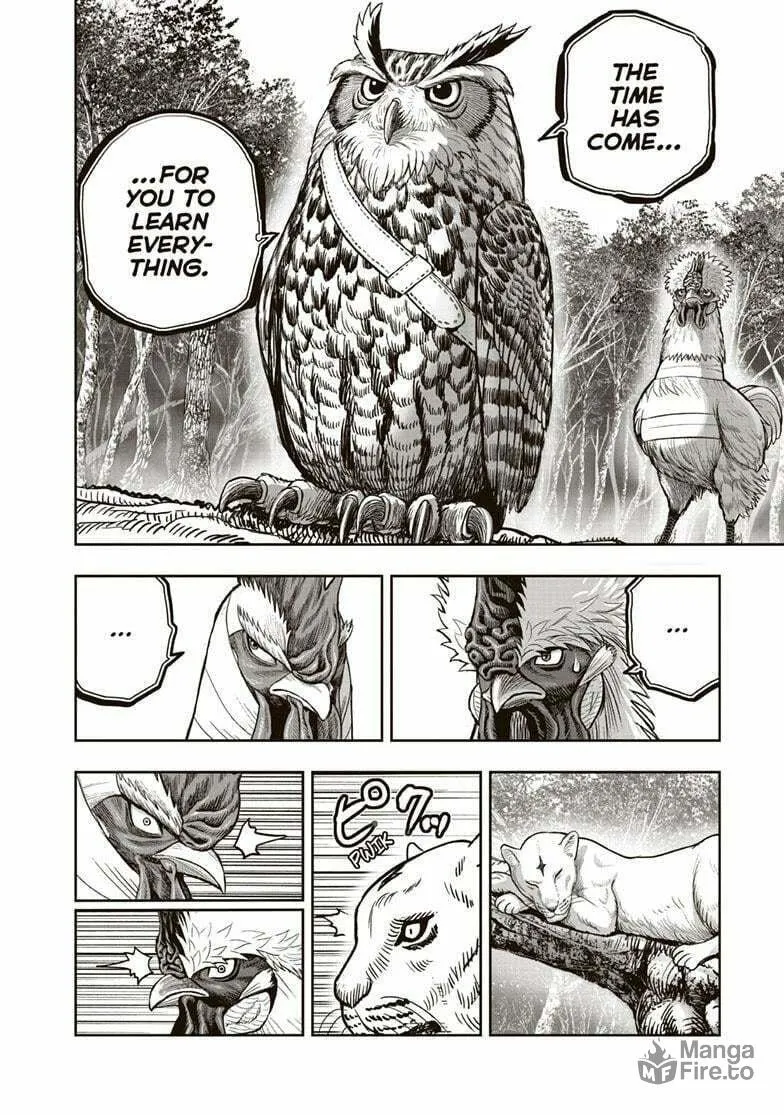 Rooster Fighter Chapter 38 page 39 - 