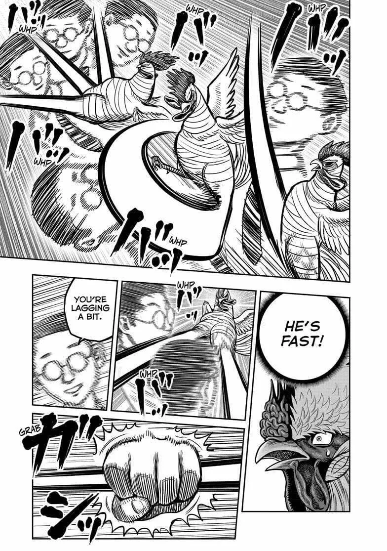 Rooster Fighter Chapter 39 page 16 - 