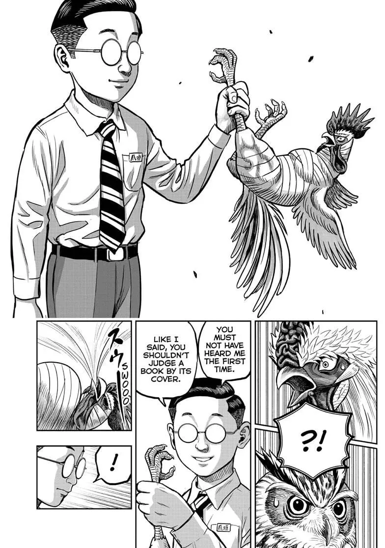 Rooster Fighter Chapter 39 page 17 - 
