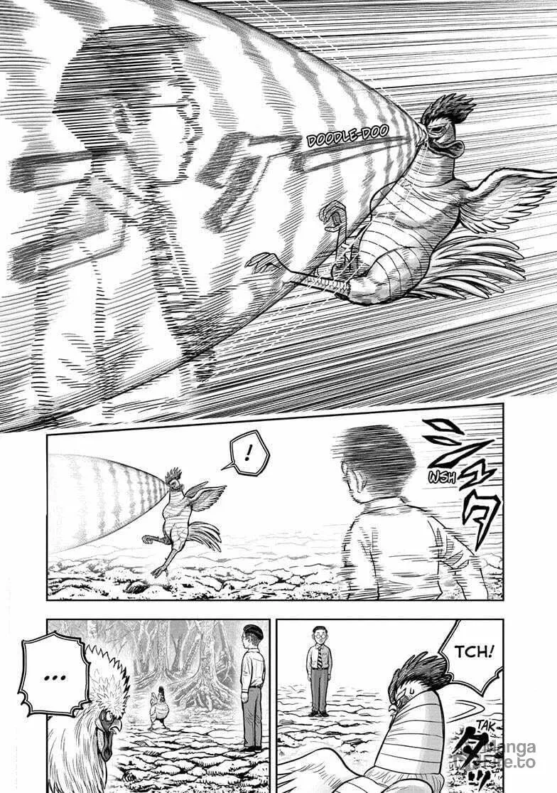 Rooster Fighter Chapter 39 page 18 - 